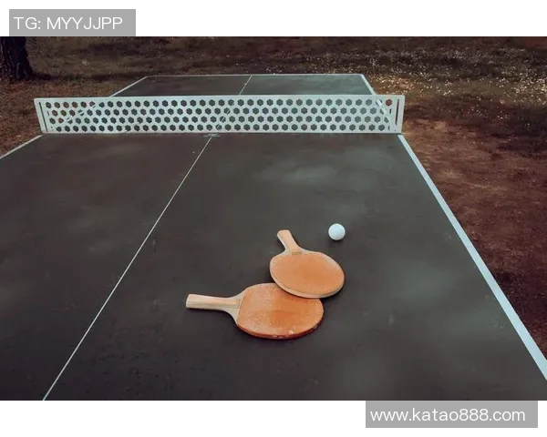 乒乓球新手必看灵活性训练技巧与入门指南全攻略