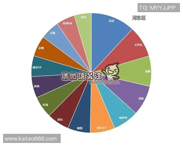 独家分析：杭州滑板队的力量对比